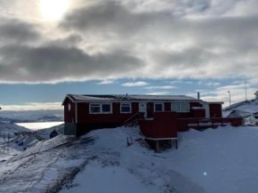 Isi4u apartments, snowmobile and dogsled